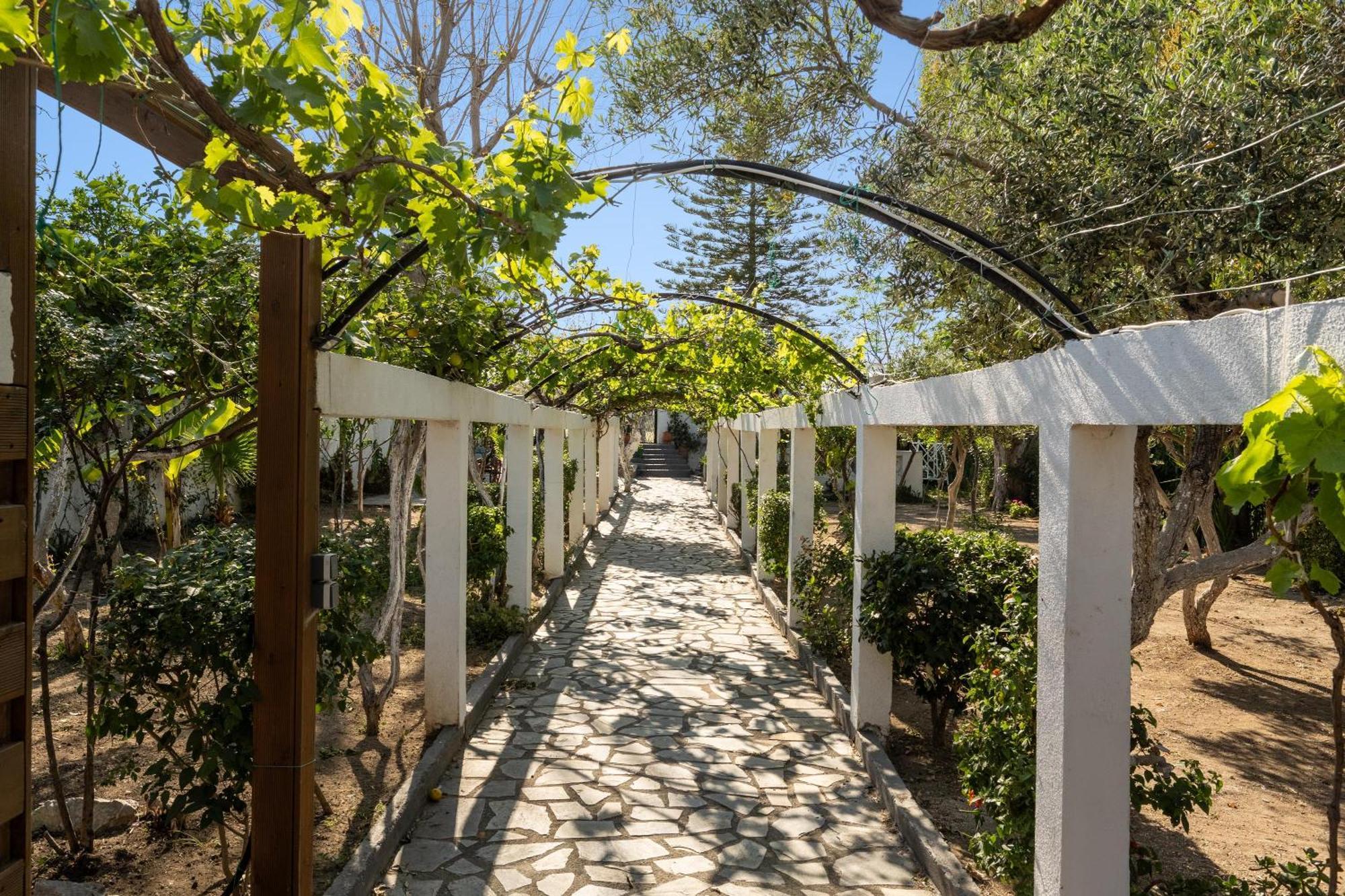 Ariadni Apartment Faliraki